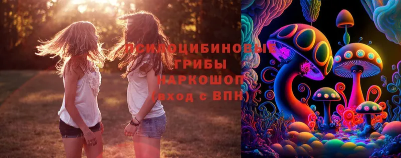 Галлюциногенные грибы Cubensis  Камышлов 